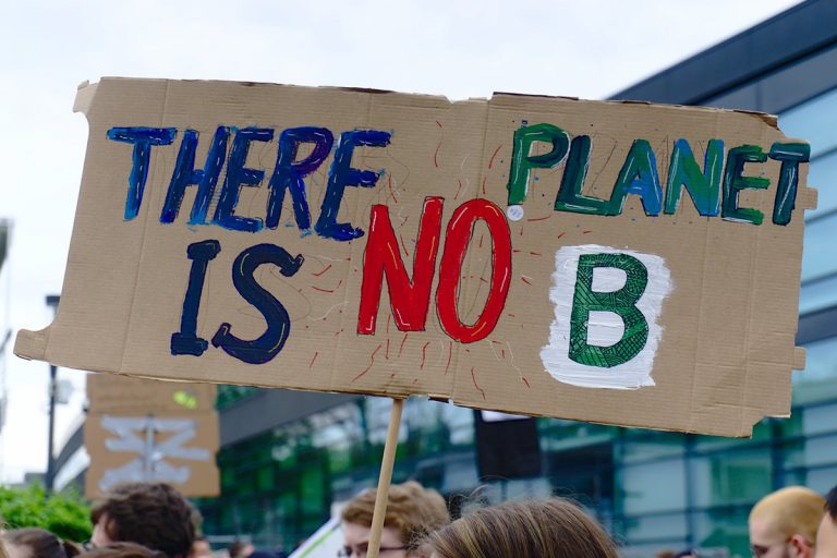 Plakat "There is no planet B" bei Demo